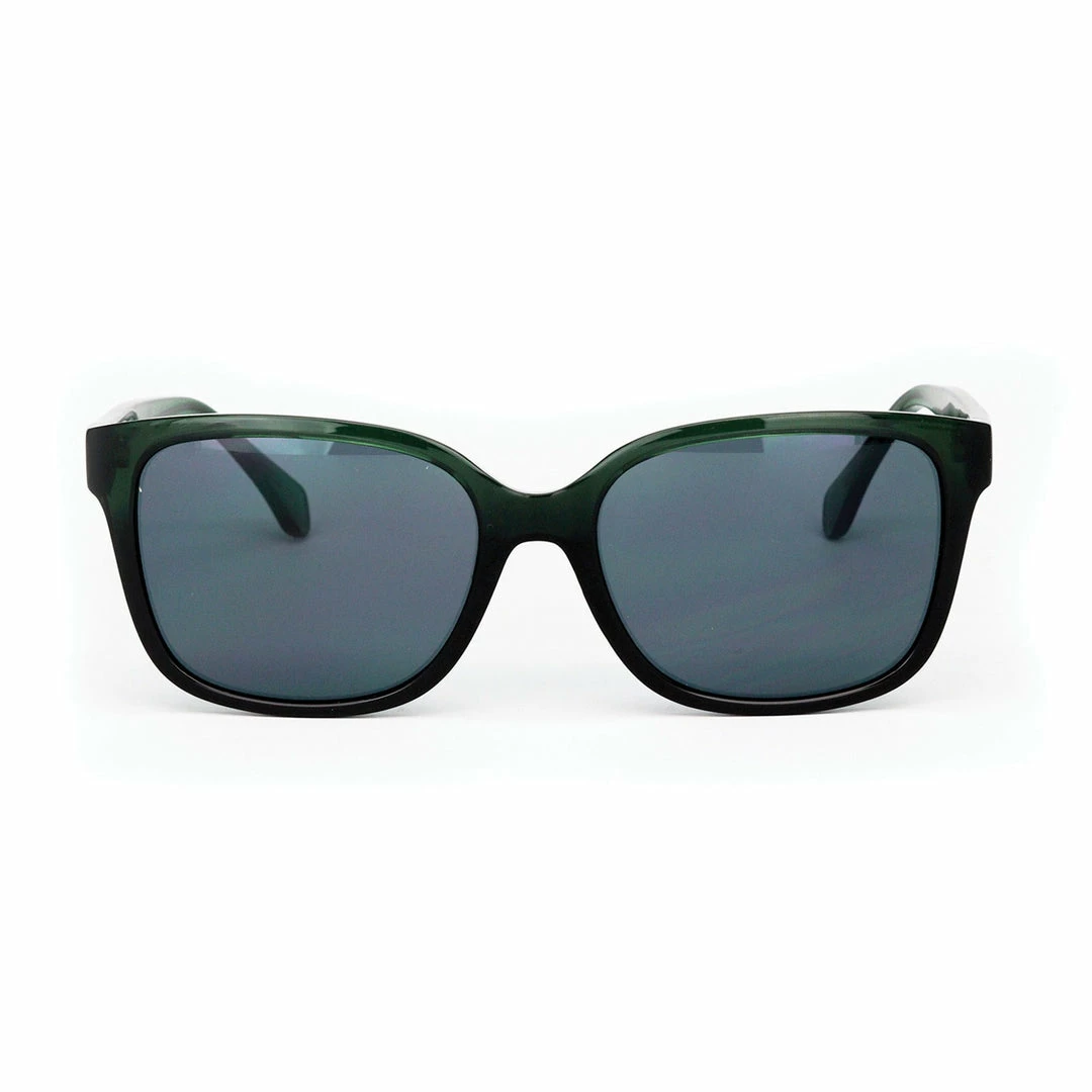 Optimum Optical Sunglasses 18 Optimum Optical Sunglasses